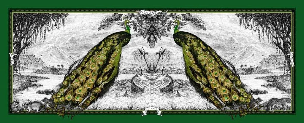 Peacock Feathers - Green Silk Scarf