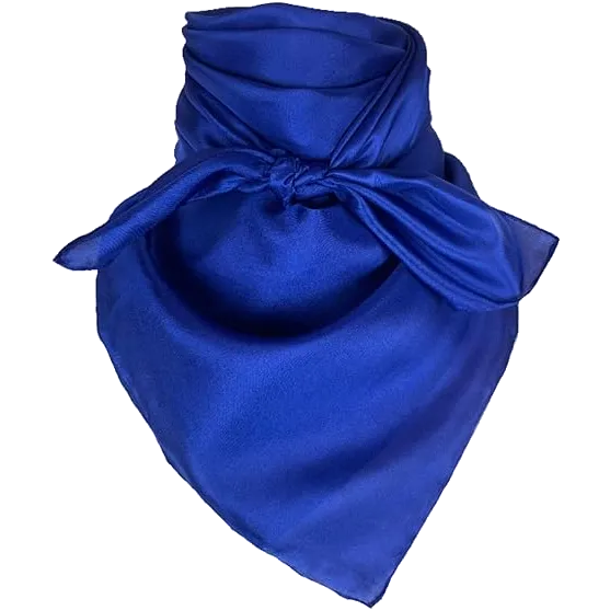 Solid Silk Scarves
